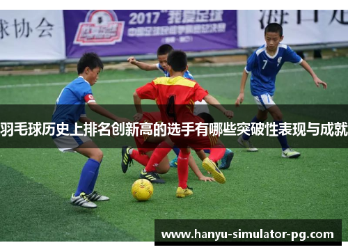 羽毛球历史上排名创新高的选手有哪些突破性表现与成就