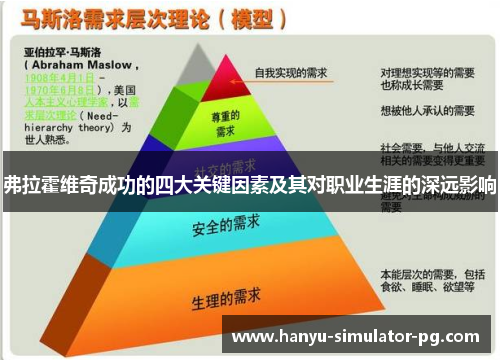 弗拉霍维奇成功的四大关键因素及其对职业生涯的深远影响