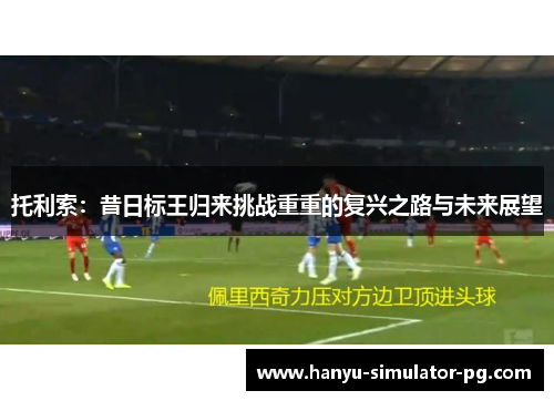 托利索：昔日标王归来挑战重重的复兴之路与未来展望