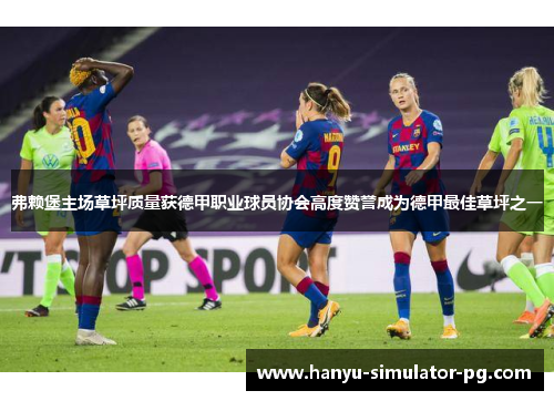 弗赖堡主场草坪质量获德甲职业球员协会高度赞誉成为德甲最佳草坪之一 弗赖堡主场草坪质量获德甲职业球员协会高度赞誉成为德甲最佳草坪之一