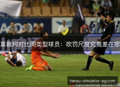 某裁判对比同类型球员:吹罚尺度究竟差在哪 某裁判对比同类型球员:吹罚尺度究竟差在哪