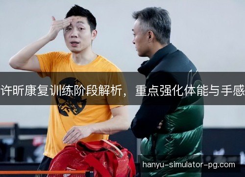 许昕康复训练阶段解析，重点强化体能与手感