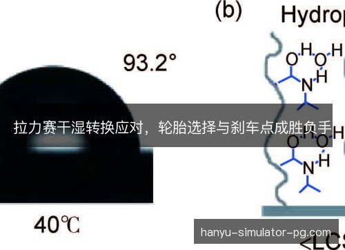 拉力赛干湿转换应对，轮胎选择与刹车点成胜负手